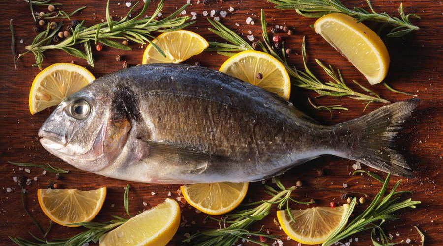 сибас или дорадо. дорадо мексика. дорадо. рыбка золотистая сибас. рыба дорада и сибас.